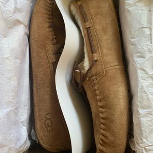 Brand new Ugg Dakota slippers